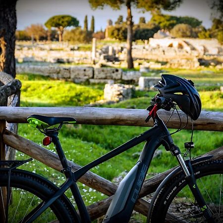 Villa Claudianna Bed & Bike Πέστουμ Εξωτερικό φωτογραφία
