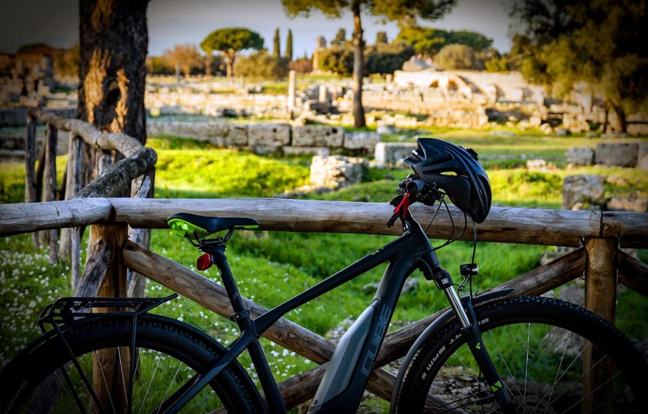 Villa Claudianna Bed & Bike Πέστουμ Εξωτερικό φωτογραφία